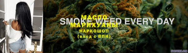 индика Аркадак