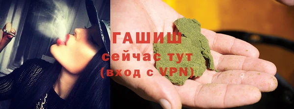 индика Аркадак