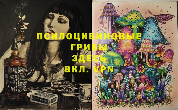 индика Аркадак