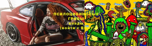 индика Аркадак