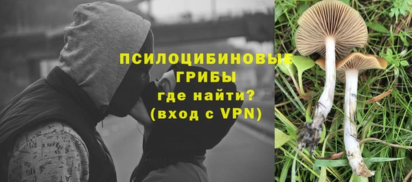 индика Аркадак