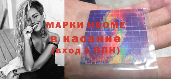 индика Аркадак